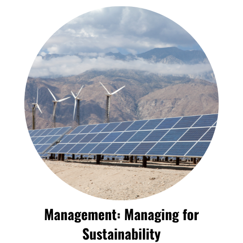 Managing for Sustainability 